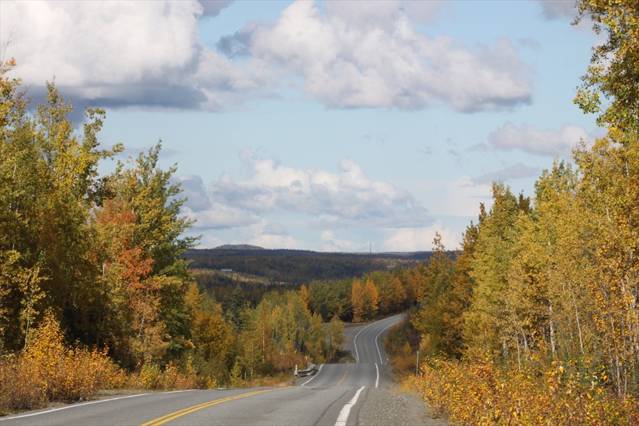  Funny River Rd Road mile 9 in the fall