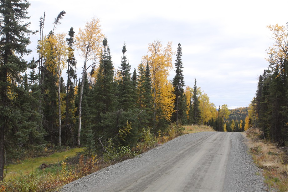 Lot 1 at Lake Road in fall