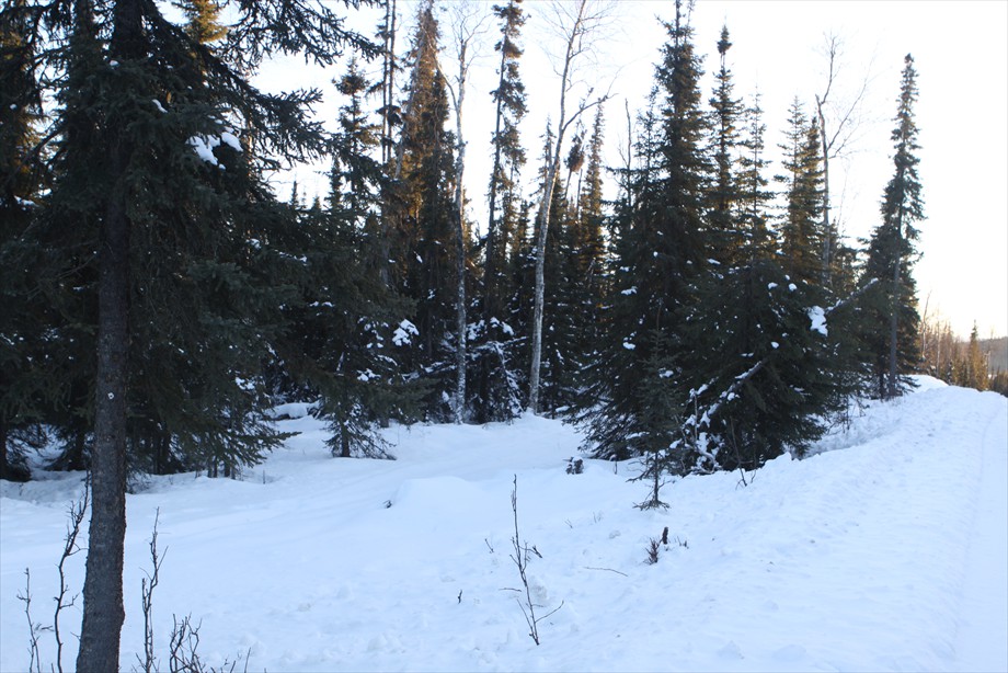 Lot 1 at top of ridge looking south