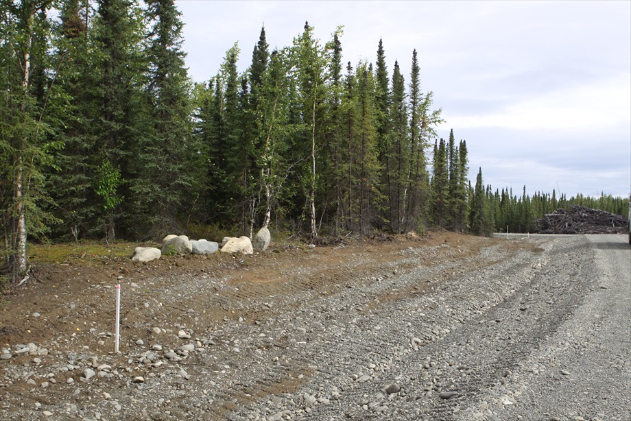 Lot 3 looking N on Viola St. prior to seeding