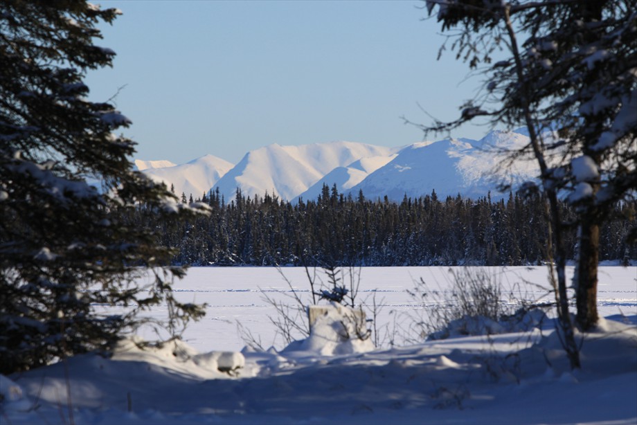 Browns Lake winter wonderland