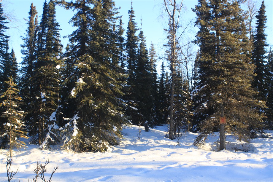 Lot 4 High ridge looking toward east mountains