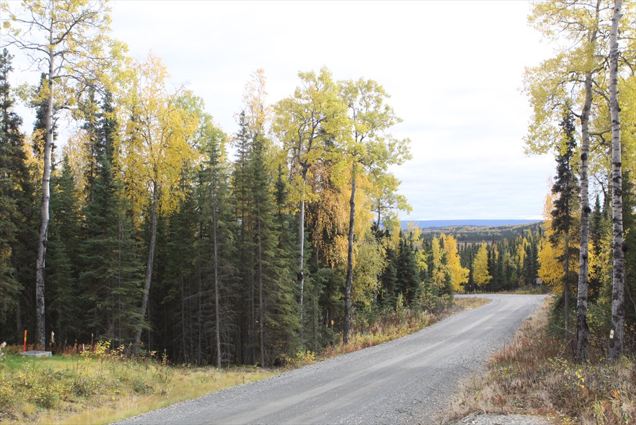 Lot 8 with fall colors