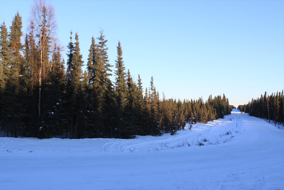 Lot 8  at corner of Lake Road and Moose Ridge Ave.