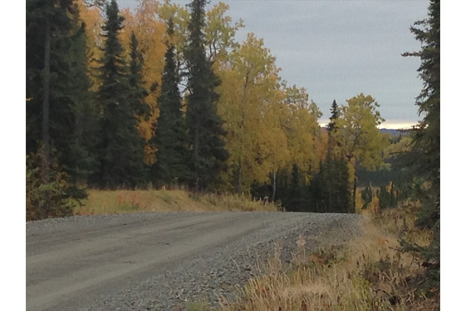 Lot 8 at Lake Road in the fall