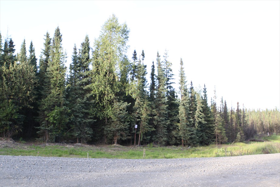 Lot 8 looking East on Moose Ridge Ave.