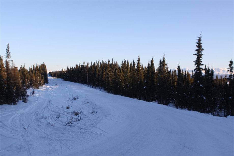 Lot 8 S-W corner looking East.  Moose Range Boundry on right side of road.