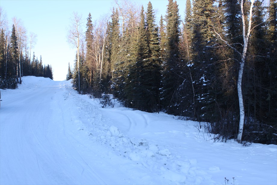 Lot 8 S-W Corner Looking North up Lake Rd.