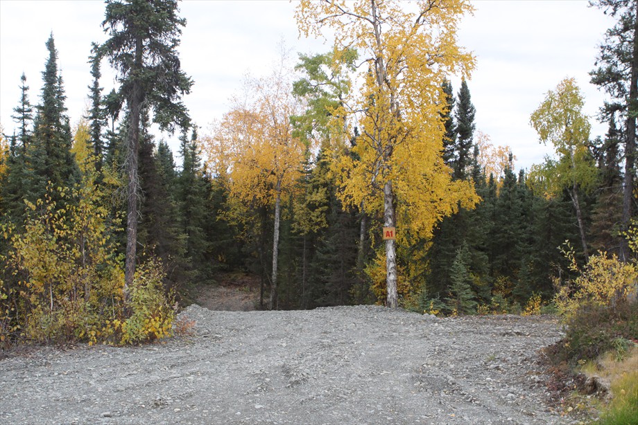Lot A-1 with fall colors