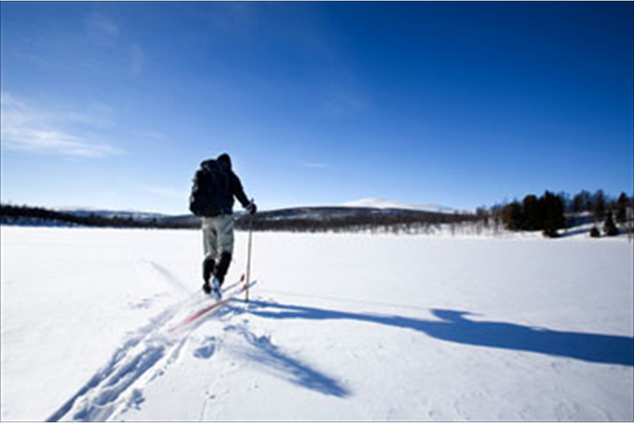 Cross-country skiing on the Kenai Peninsula