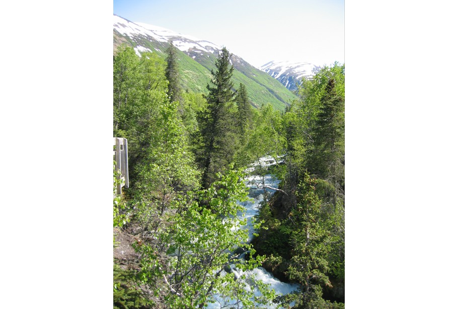 Biking Upper Russian Trail