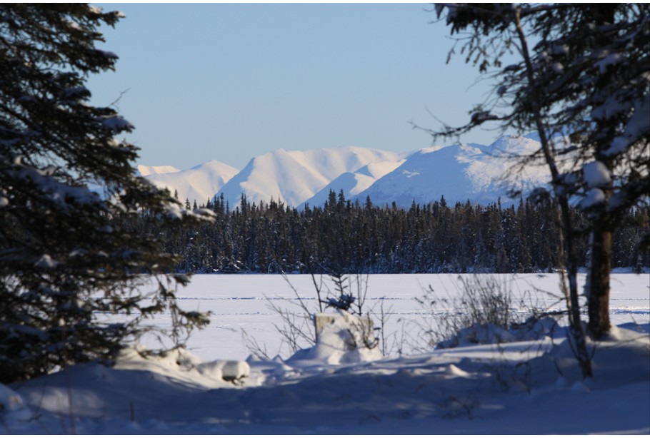 Browns Lake Winter Wonderland