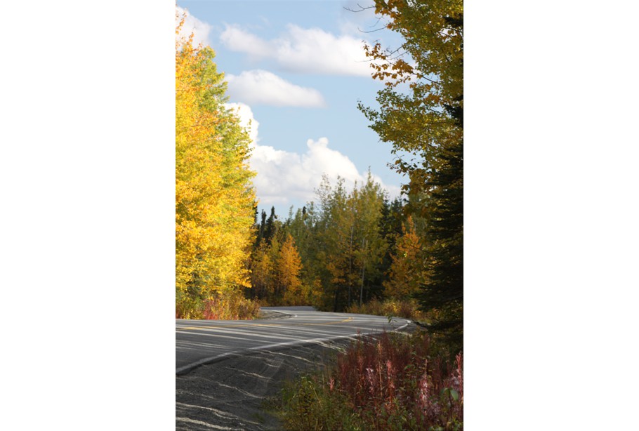 Funny River Road Mile 7